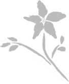 CHẾ TÁC TRANG SỨC 3D