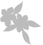 CHẾ TÁC TRANG SỨC 3D