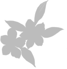 CHẾ TÁC TRANG SỨC 3D