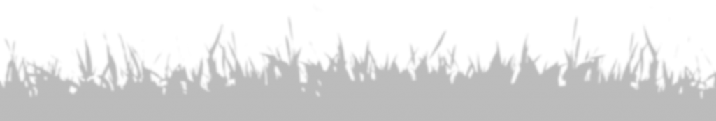 CHẾ TÁC TRANG SỨC 3D