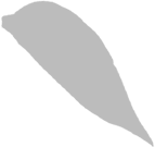 CHẾ TÁC TRANG SỨC 3D