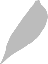 CHẾ TÁC TRANG SỨC 3D